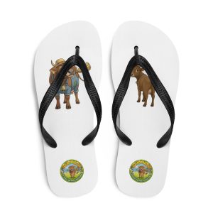 Walk with Veronica & Liesel