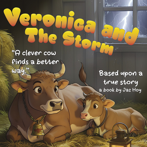 Veronica and the Storm — book cover